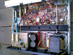 DCF_0355.JPG