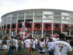 DCF_0380.JPG