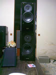 DCF_0423.JPG
