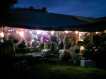 DCF_0432.JPG