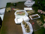 DCF_0433.JPG
