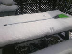 DCF_0863.JPG