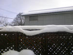 DCF_0866.JPG