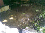 DCF_0868.JPG