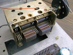 DCF_0971.JPG