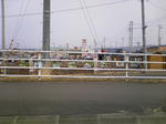 DCF_0968.JPG