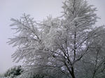 DCF_0958.JPG