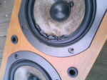 DCF_1087.JPG