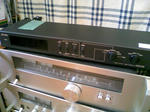 DCF_1317.JPG