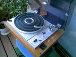 DCF_1338.JPG
