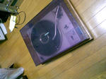 DCF_1339.JPG