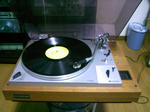 DCF_1341.JPG