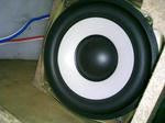 DCF_1384.JPG