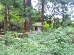 DSC_0086.JPG