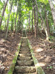 DSC_0085.JPG