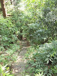 DSC_0087.JPG