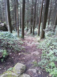 DSC_0180.JPG