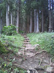 DSC_0172.JPG