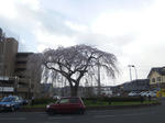93a595a6.jpeg