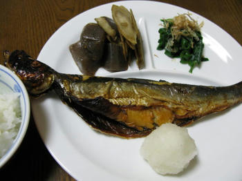IMG_2576_1.JPG