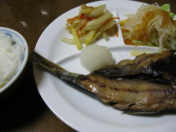 IMG_2825_1.JPG