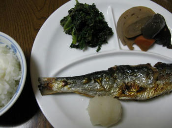 IMG_2898_1.JPG