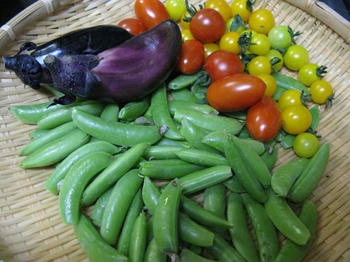 IMG_4781_1.JPG