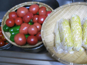 IMG_5651_1.JPG
