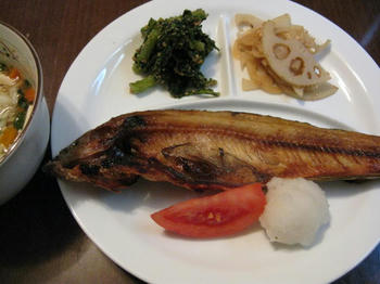 IMG_7145_1.JPG