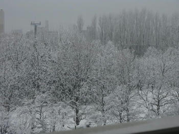 IMG_8265_1.JPG