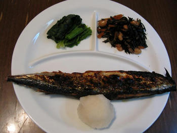 IMG_8299_1.JPG