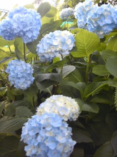 100713_104644.jpg