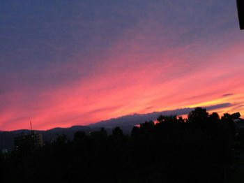 IMG_9971_1.JPG