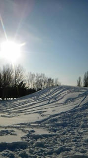 110120_142506.jpg