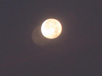 IMG_3602_1.JPG