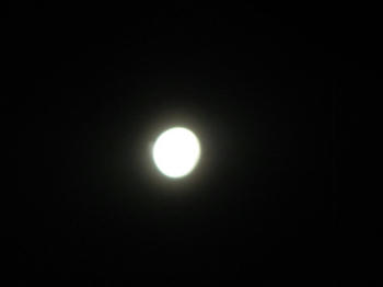 IMG_4739_1.JPG