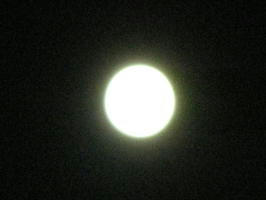 IMG_6352_1.JPG