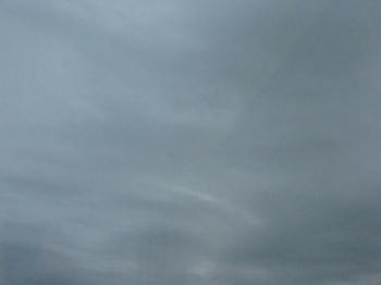 IMG_6495_1.JPG