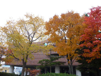 P1040796_1.JPG