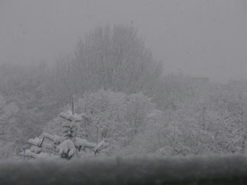 IMG_6827_1.JPG