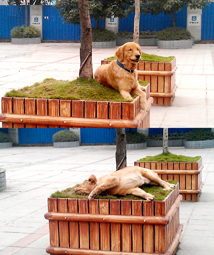 2011-11-27.jpg