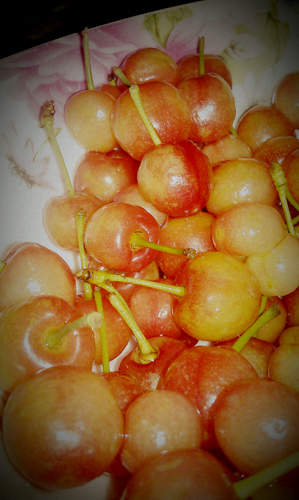 IMAG0164.jpg