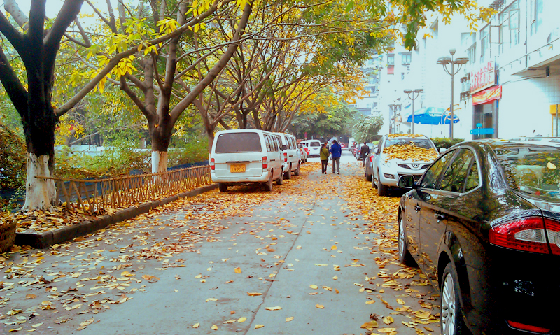 IMAG0165.jpg