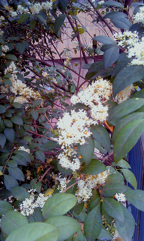 IMAG0166.jpg