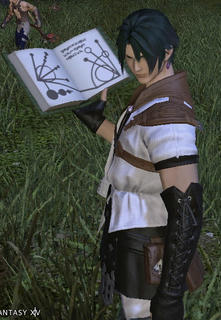 ffxiv_20130819_004311a.jpg
