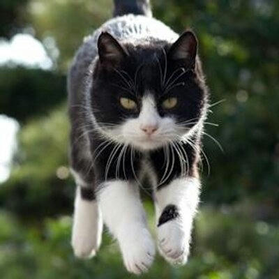 Gloval Search NewsCat21 New