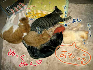 ねこだんご