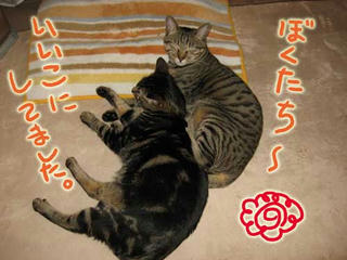 juni&leo