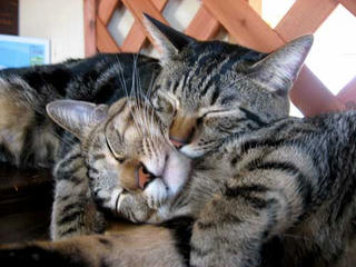 juni&leo