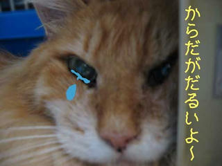 ムック702